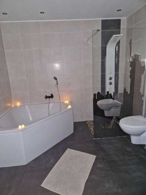 Duplex-Cocon-Proximite - Piscines Thermales -Sauna Hombourg-Haut Екстериор снимка